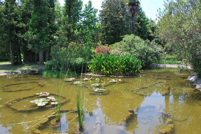 Arboretum in Adler